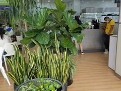 -813芭依珊 BAESAn(皇冠十畝地店)