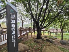 -广东花都湖国家湿地公园