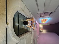 -金山农民画村-枫泾波兰倒置屋