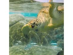 -福州罗源湾海洋世界旅游区