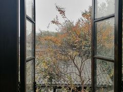 -见山书院
