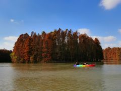 -上海海湾国家森林公园