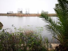 -苏州湾王焰温泉度假酒店