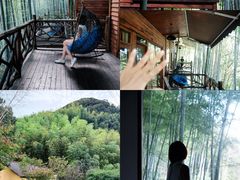 -莫干山风景区