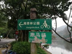 -银湖山郊野公园-相思林