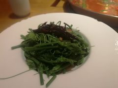 -新凯里酸汤鱼(飞山街店)