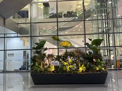 -河内内排国际机场
