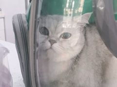 -佳雯宠物医院(金华南路分院)