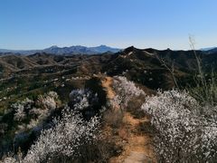 -蟠龙山长城景区