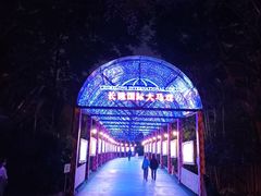 -广州长隆国际大马戏
