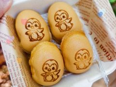 -合肥野生动物园