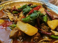 大盘鸡小份-燕兰楼·清真西北融合菜(亚运村店)