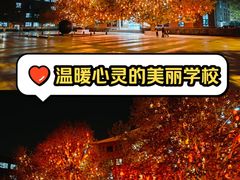 -北京市海淀外国语实验学校
