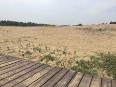 -东郊湿地公园