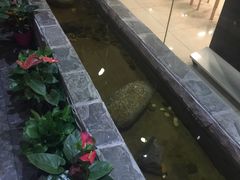 -湘与香缘·湖南菜(王府井北京市百货大楼店)
