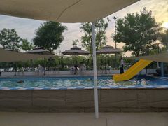 -爪吧宠物乐园 (温榆河示范区店)