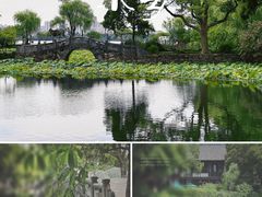 -无锡蠡湖国家湿地公园-蠡园