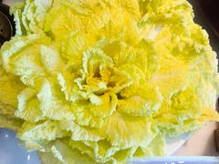 花开富贵大白菜-聚宝源(潞城店)