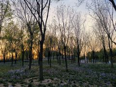 -东郊湿地公园