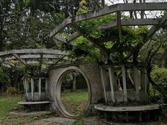 -杭州植物园