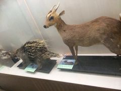 iphone_upload_pic-下渚湖国家湿地公园科普馆