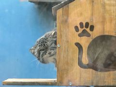 -青藏高原野生动物园