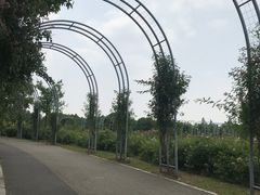 -尚贤河湿地