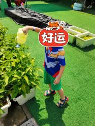点击看大图 -可可天空农场(东部新城银泰店)