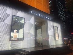 -BLACKSWAN黑天鹅(环球店)