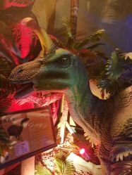 -恐龙探索乐园(磁器口店)