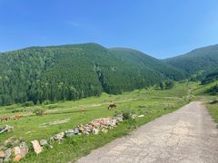 -五台山风景名胜区