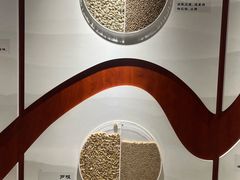 -中国中医科学院西苑医院(本部)