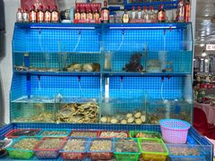 -连云港海鲜馆(九龙大排档店)