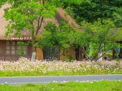 -良渚古城遗址公园