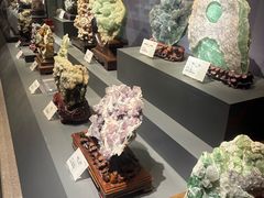 -湖南省地质博物馆