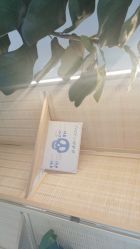 -FACE·日本小颜矫正美容整骨サロン