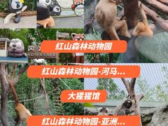 -客栈猫舍(中央北路店)