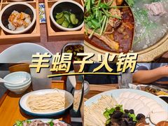 -大白羊蝎子馆(后沙峪山姆店)