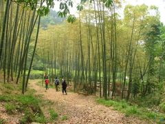 -东明山森林公园