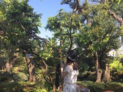 -Chom Cafe and Restaurant