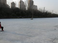 -前关湿地公园