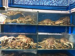 -蚝专家(北滘店)