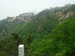 -石老人观光园