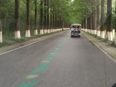 -黄海国家森林公园