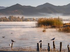 -丽江泸沽湖景区