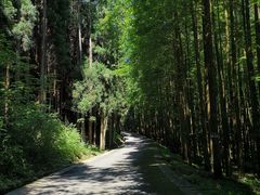 -山王坪喀斯特国家生态公园