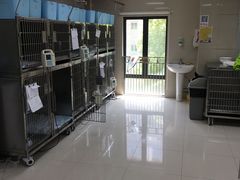 -申普宠物医院·心脏介入·心血管微创(总院)