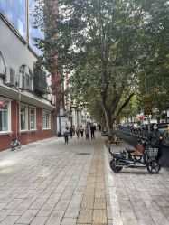 -YESIDO椰岛造型