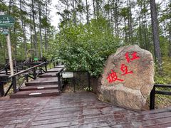 -莫尔道嘎国家森林公园