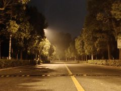 -金岛生态园烧烤露营地